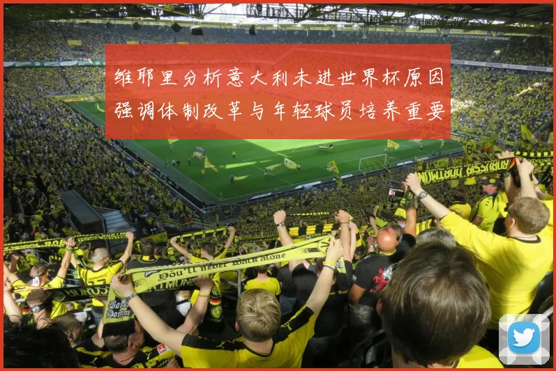 维耶里分析意大利未进世界杯原因强调体制改革与年轻球员培养重要性
