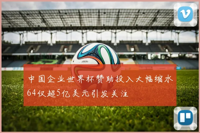 中国企业世界杯赞助投入大幅缩水64仅超5亿美元引发关注