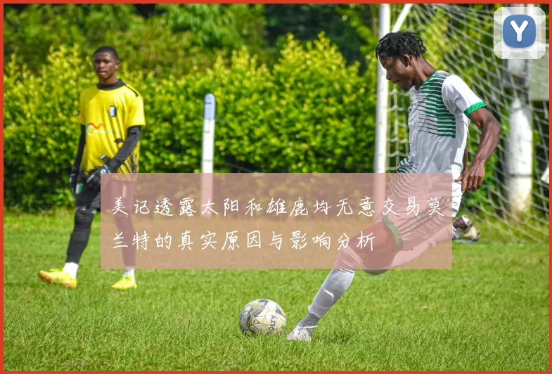 美记透露太阳和雄鹿均无意交易莫兰特的真实原因与影响分析